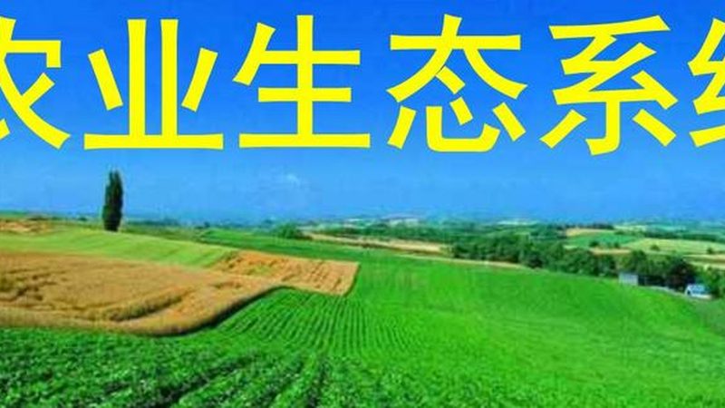 上海周边休闲农业基地哪家好