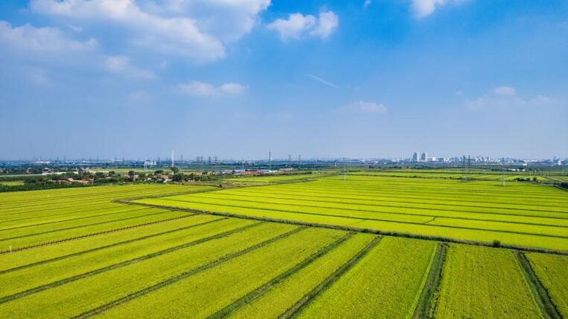 合作社注销费用解析：了解成本构成与影响因素