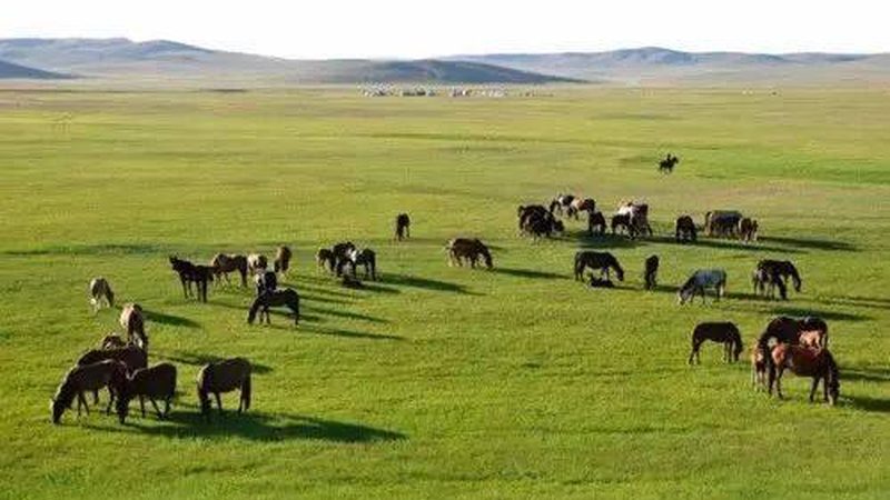 山地丘陵地区种什么粮食好？因地制宜是关键