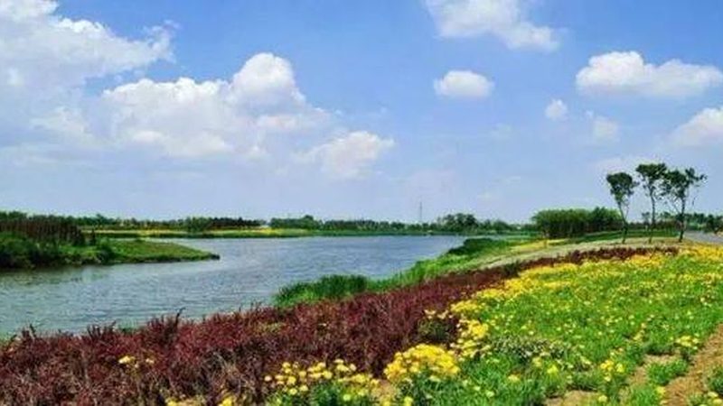 2024农业项目品牌排行：揭秘行业新趋势**