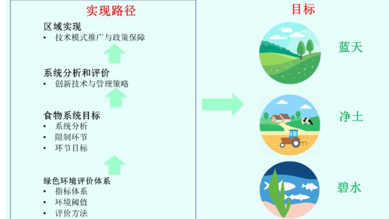 阳台种水果与菜园种植区别
