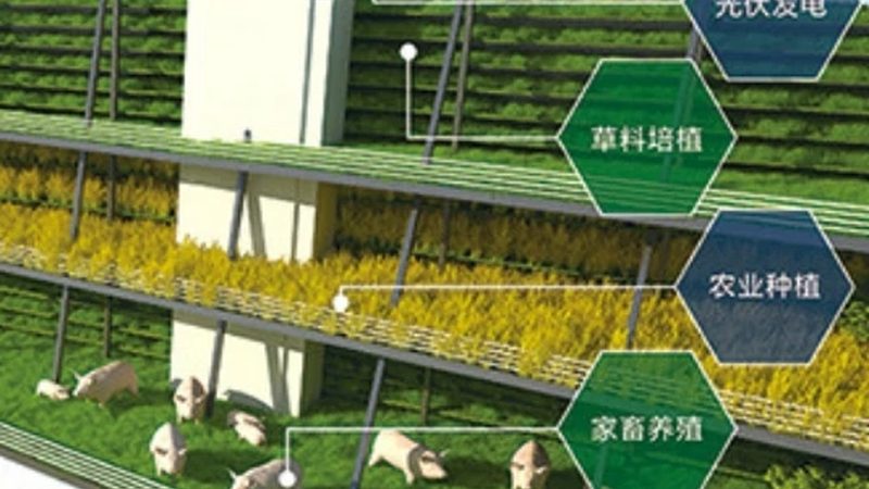 成都农业合作社加盟，如何选择优质平台？**