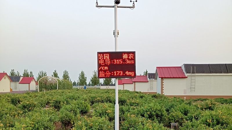 小型农业项目投资，如何精准预算？**