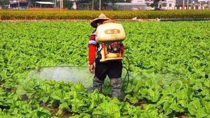 农民专业合作社税收优惠注意事项