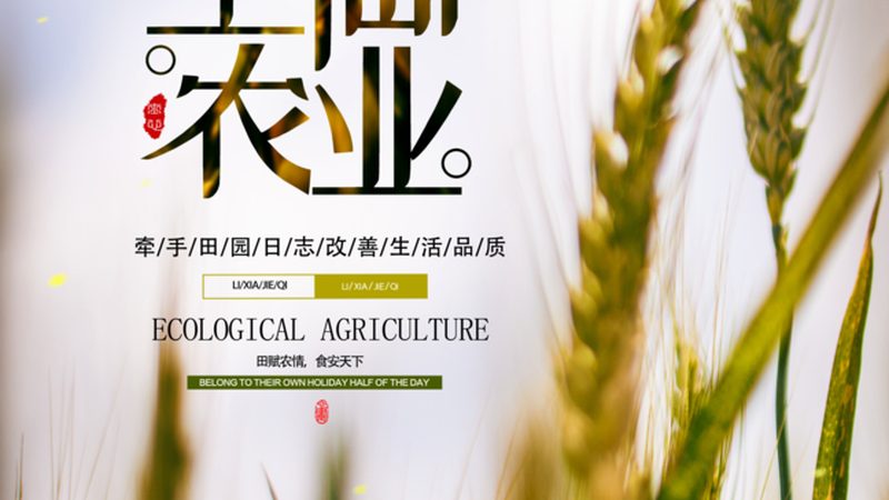 农产品配送亏损的深层原因剖析